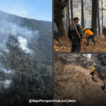 Brigadistas combatiendo incendio en santuario de la mariposa monarca