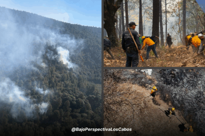 Brigadistas combatiendo incendio en santuario de la mariposa monarca
