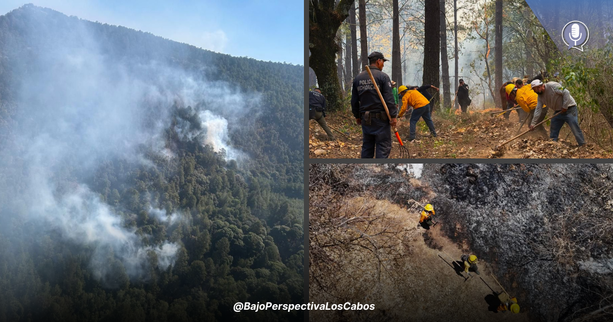 Brigadistas combatiendo incendio en santuario de la mariposa monarca