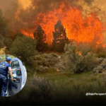 Bomberos de Los Cabos apoyarán en incendio de Tecate