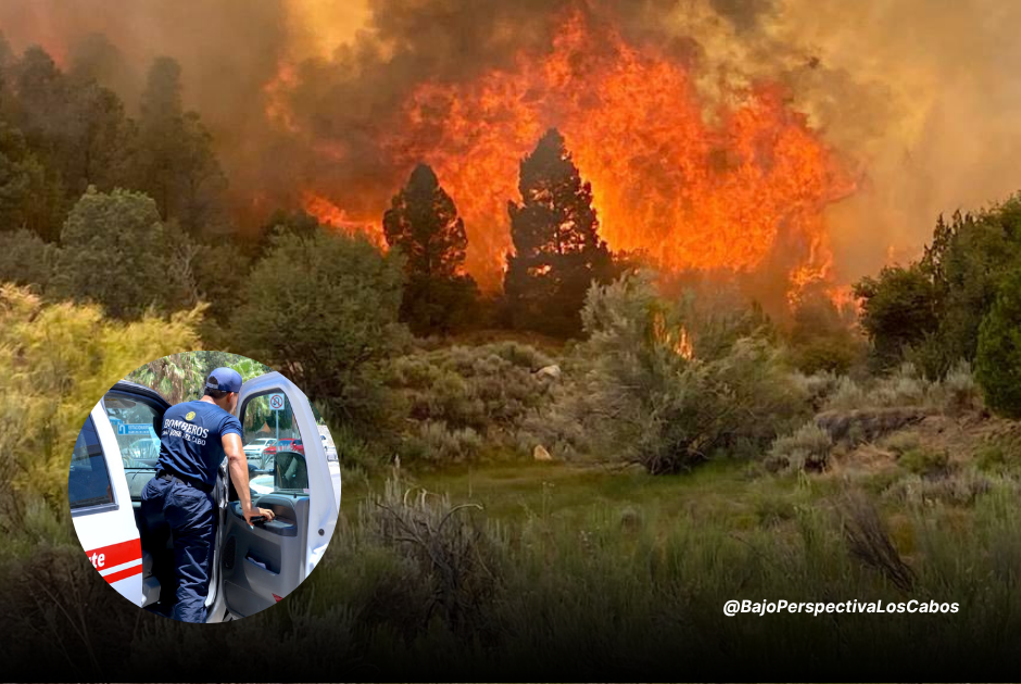 Bomberos de Los Cabos apoyarán en incendio de Tecate