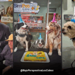 SIMI PET CARE CDMX