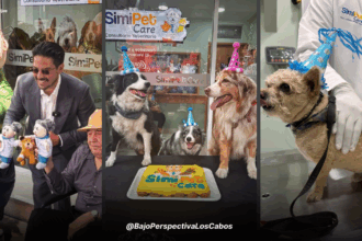SIMI PET CARE CDMX