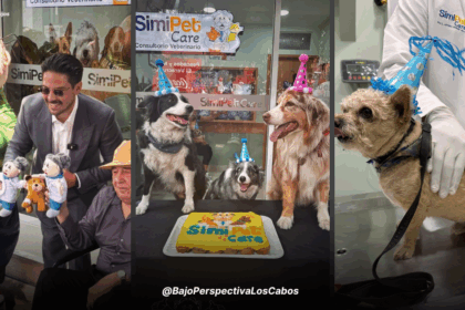 SIMI PET CARE CDMX