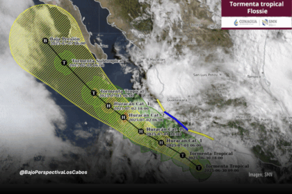 Trayectoria de TT Flossie