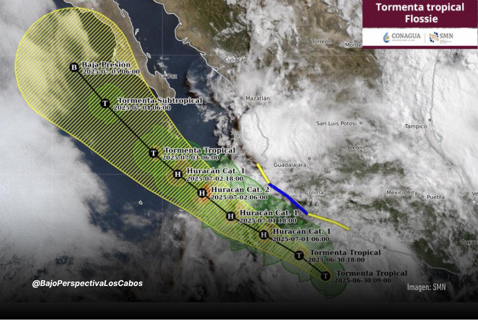 Trayectoria de TT Flossie