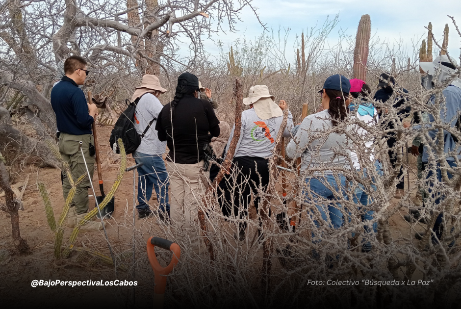 Buscadores en sitio de fosa clandestina