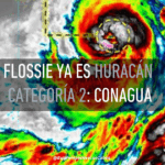 FLOSSIE CATEGORÍA 2