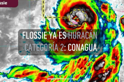 FLOSSIE CATEGORÍA 2