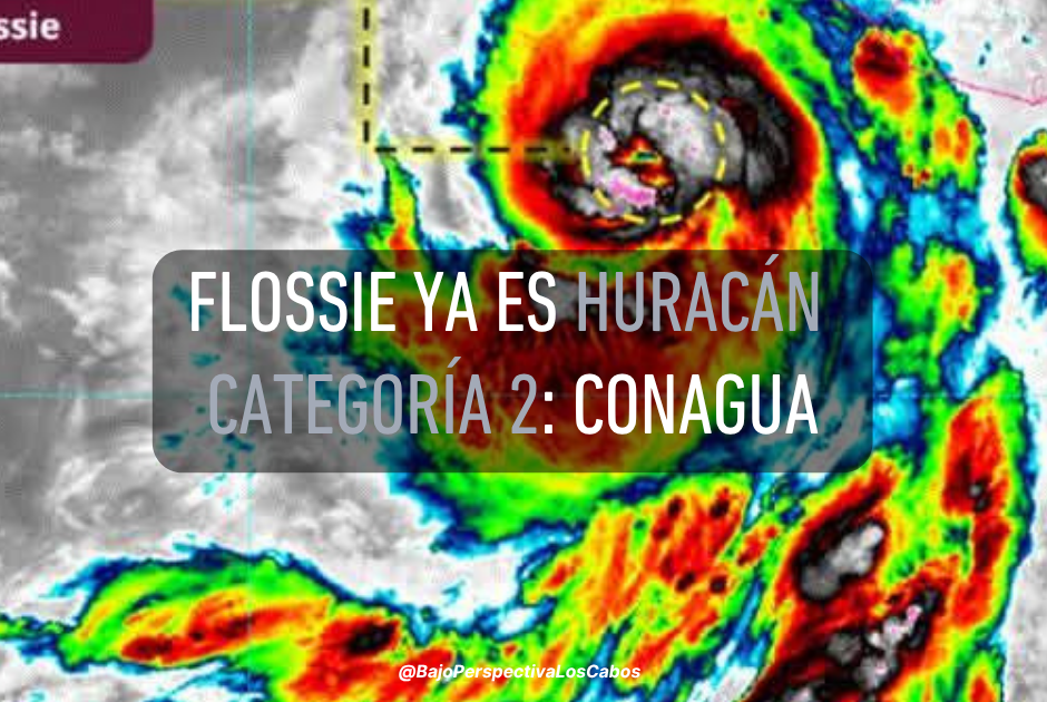 FLOSSIE CATEGORÍA 2