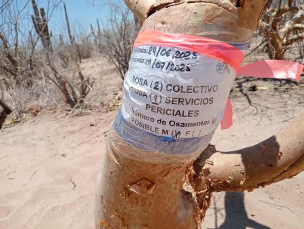 Fosa clandestina etiquetada