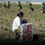 MIGRANTES CALIFORNIA