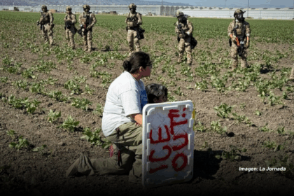 MIGRANTES CALIFORNIA