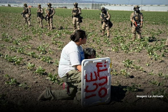 MIGRANTES CALIFORNIA
