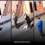 FEMINICIDA GUADALAJARA