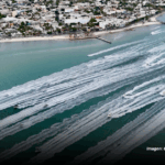 TORNEO DE PESCA EL GRANDE