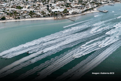 TORNEO DE PESCA EL GRANDE