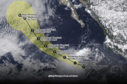 Trayectoria depresión Diez-E