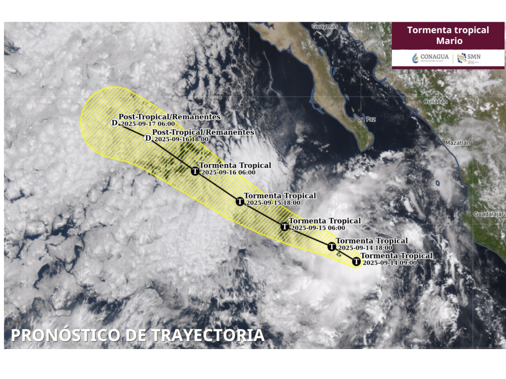 Trayectoria de TT Mario