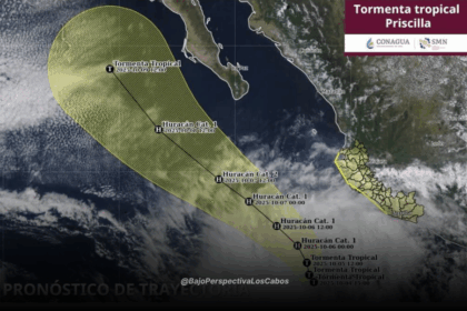 Trayectoria de TT Priscilla
